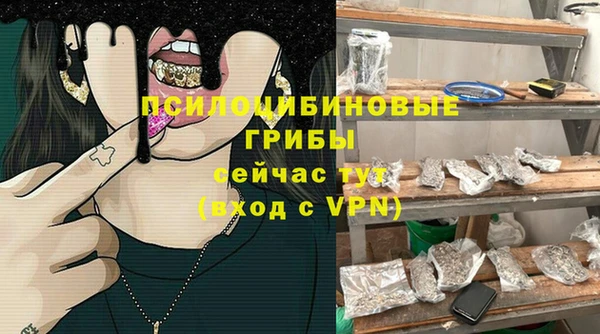 ГАЛЛЮЦИНОГЕННЫЕ ГРИБЫ Бородино